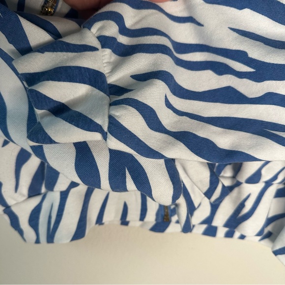 AVIATOR NATION TIGER RELAXED ZIP HOODIE WITH POCKETS - BLUE TIGER SZ S - Picture 5 of 7